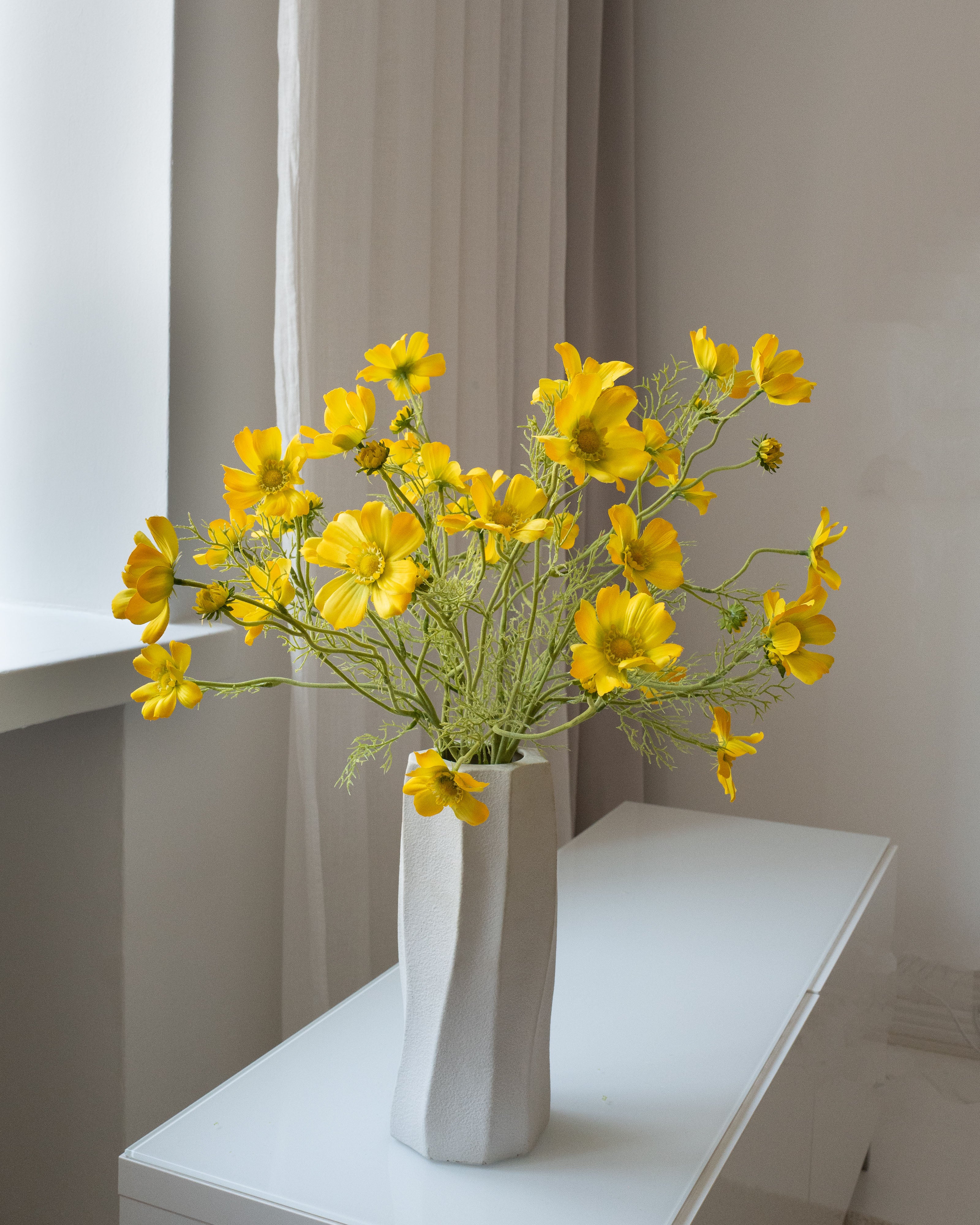 Yellow Cosmos