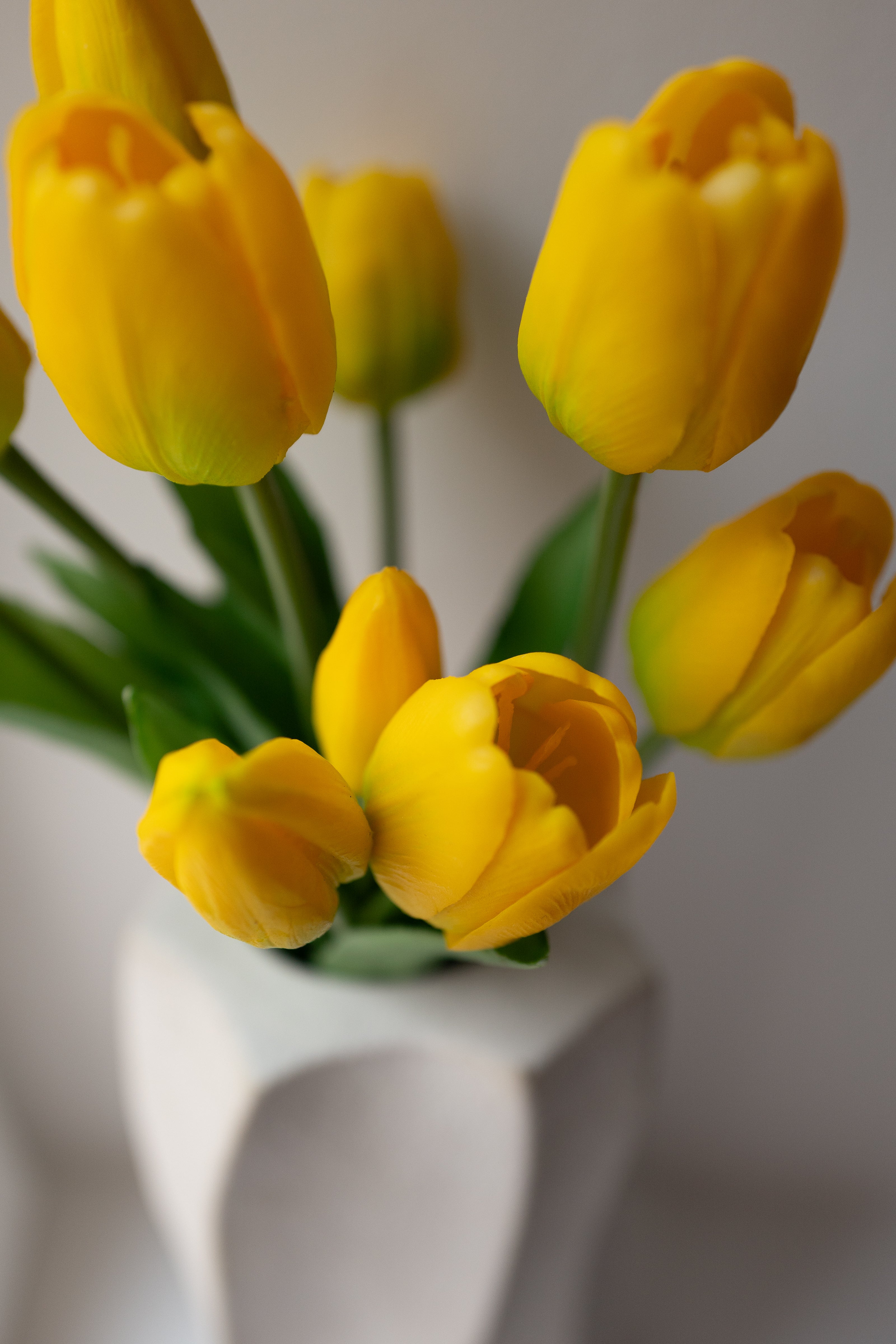 Yellow Tulips