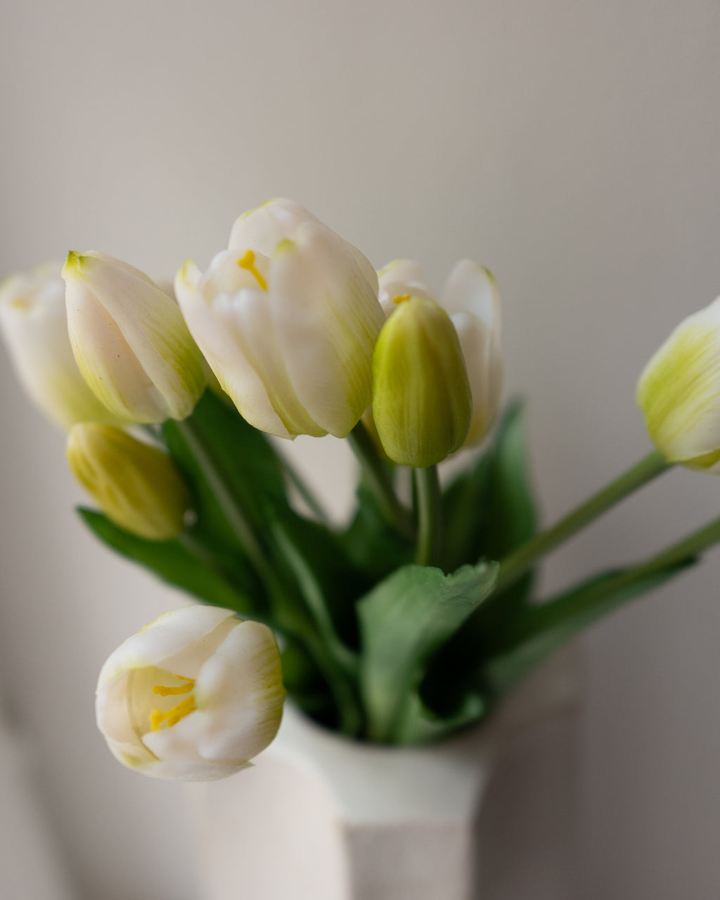 White Tulips