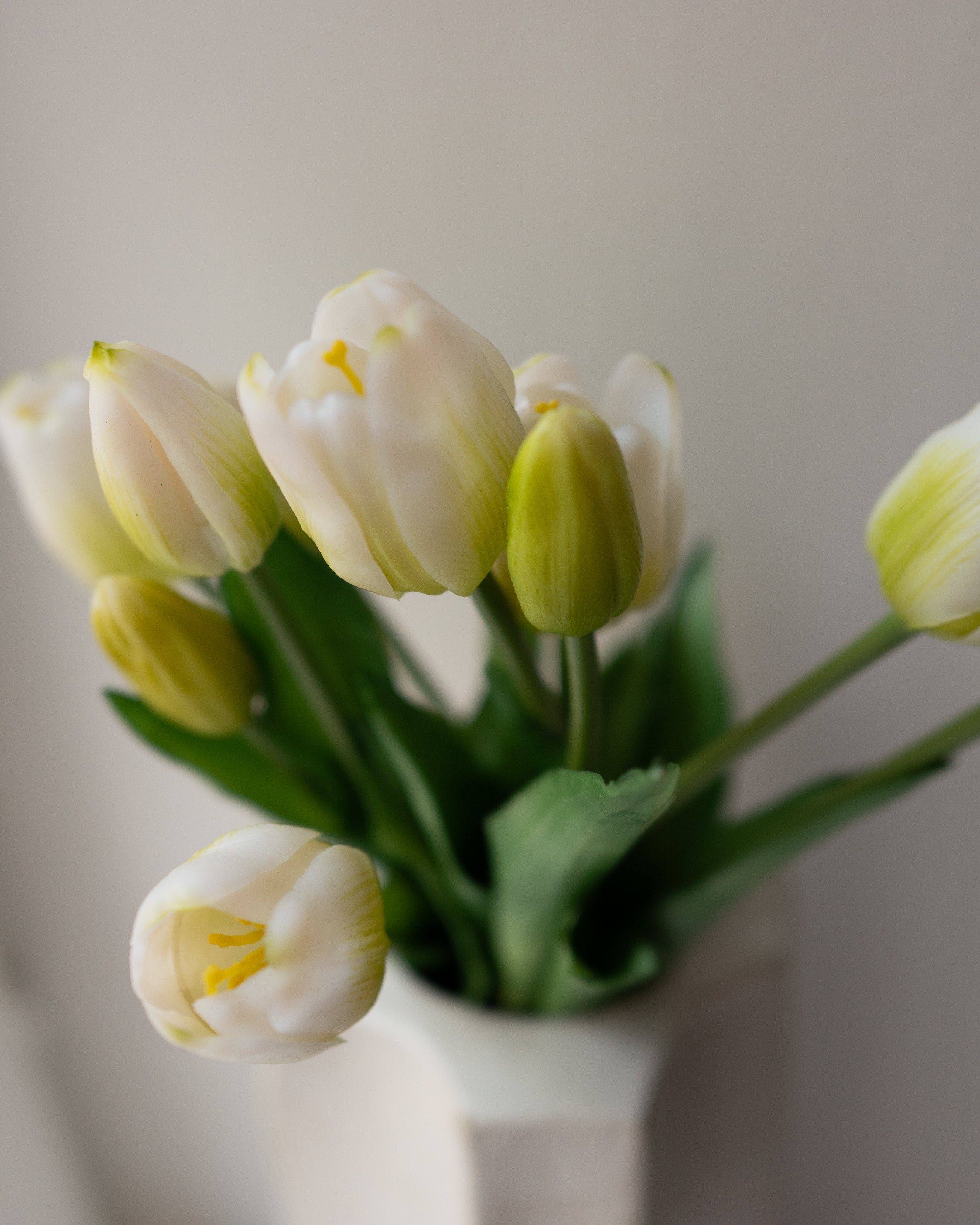 White Tulips