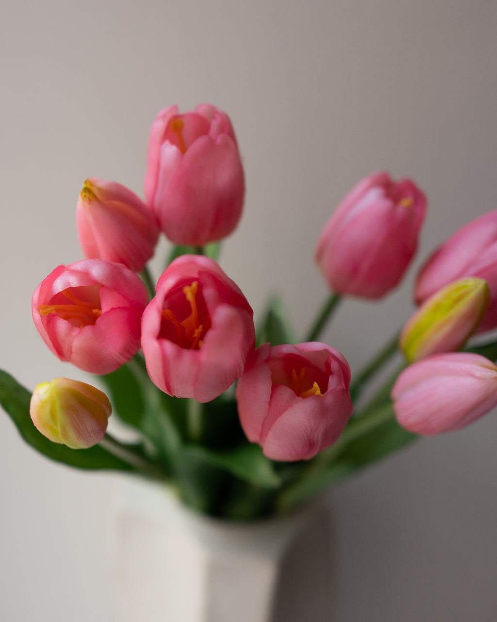 Pink Tulips